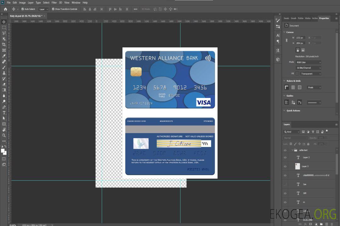Carte visa de la Western Alliance Bank des États-Unis template Carte visa de la Western Alliance Bank des États-Unis template